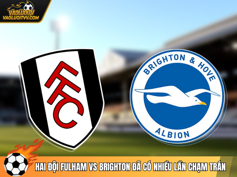 Hai đội Fulham vs Brighton đã có nhiều lần chạm trán