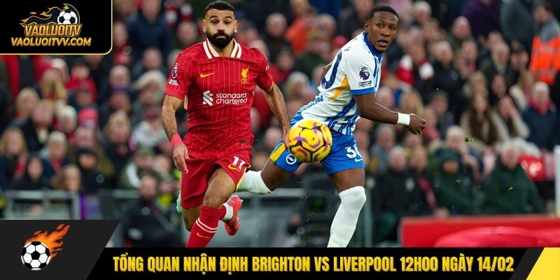 Tổng quan nhận định Brighton vs Liverpool 12h00 ngày 14/02